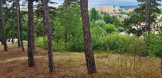 Parks and greenery – Sadová