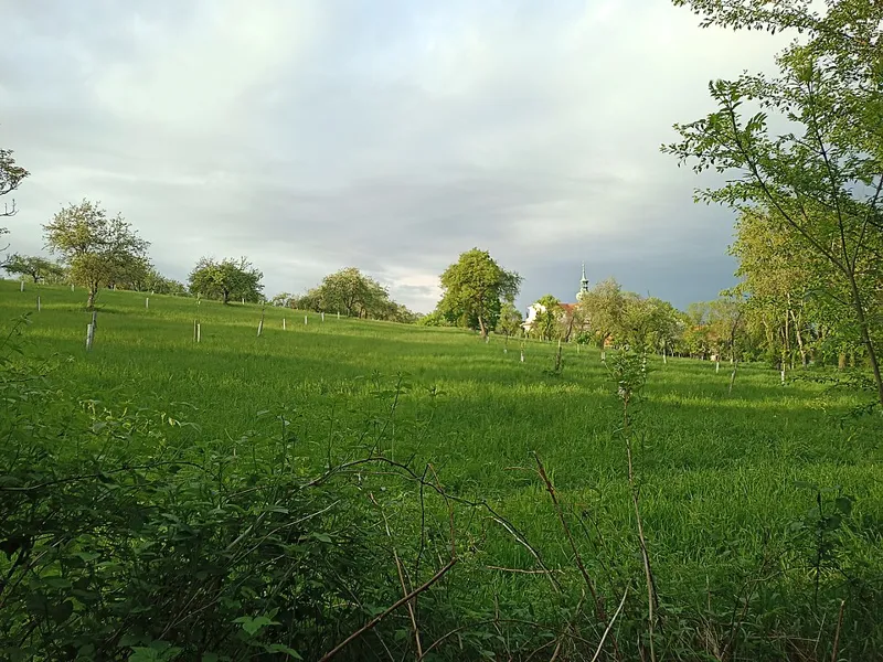 Břevnov