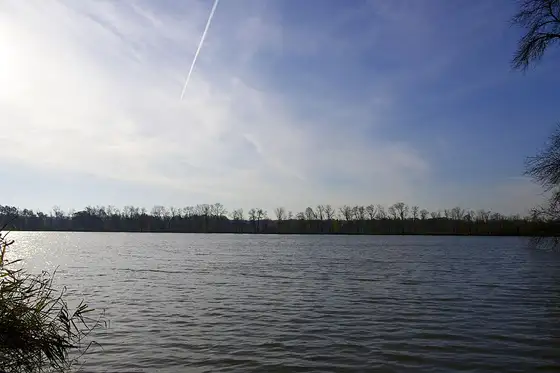Parks and forests – Polanka nad Odrou