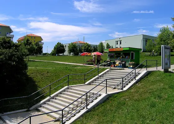 Obchody a služby – Kohoutovice