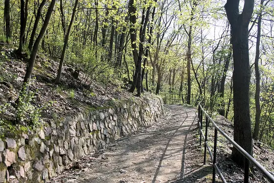 Parky a zeleň – Žabovřesky