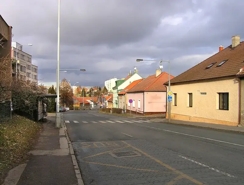 Čimice