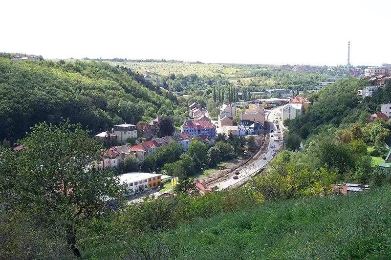 Radlice