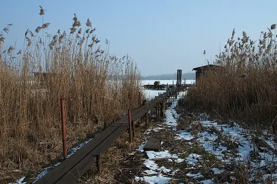 Parky a lesy – Heřmanice